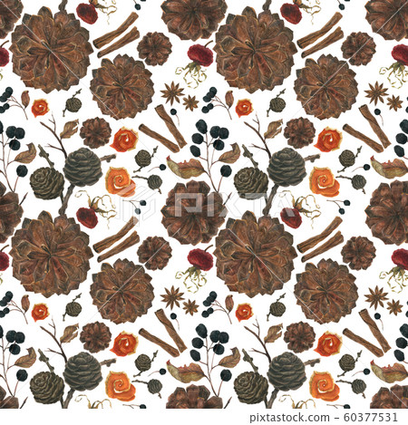 Winter plants and spices for new year watercolor Winter plants and spices for new year watercolor 60377531