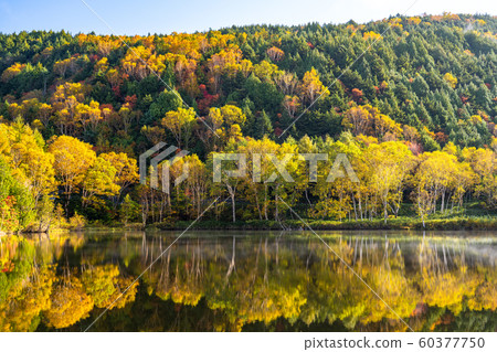 《長野縣》秋天的木戶池塘，秋天的滋賀高原 60377750