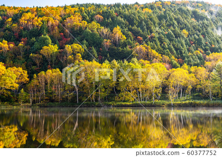 《長野縣》秋天的木戶池塘，秋天的滋賀高原 60377752