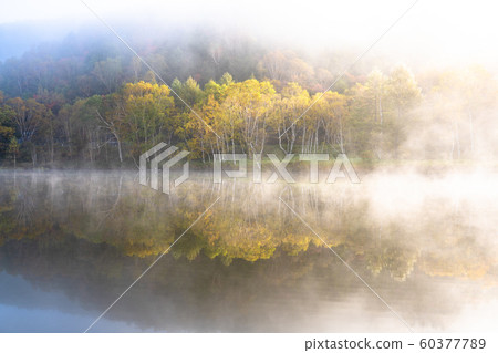 《Nagano Prefecture》Kido Pond in Autumn Colors, Shiga Kogen in Autumn 60377789