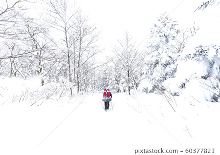 白雪皚皚的江原道冬季景觀 白雪皚皚的江原道冬季景觀 60377821