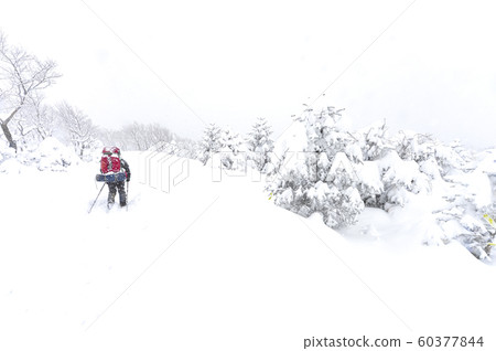 白雪皚皚的江原道冬季景觀 白雪皚皚的江原道冬季景觀 60377844