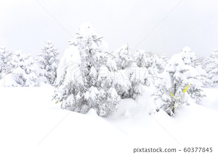 Snowy gangwon do winter landscape Snowy gangwon do winter landscape 60377845