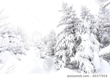 白雪皚皚的江原道冬季景觀 白雪皚皚的江原道冬季景觀 60377858