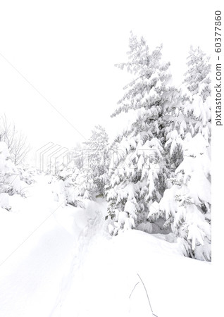 白雪皚皚的江原道冬季景觀 白雪皚皚的江原道冬季景觀 60377860