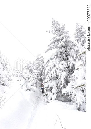 白雪皚皚的江原道冬季景觀 白雪皚皚的江原道冬季景觀 60377861