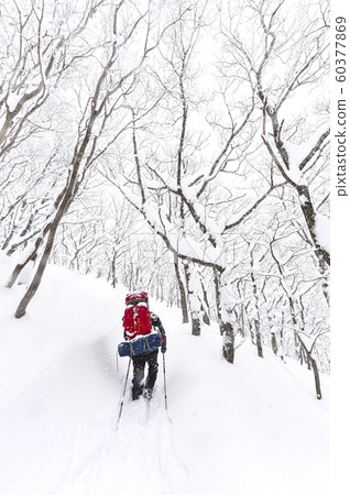白雪皚皚的江原道冬季景觀 白雪皚皚的江原道冬季景觀 60377869