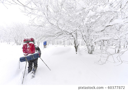 白雪皚皚的江原道冬季景觀 白雪皚皚的江原道冬季景觀 60377872