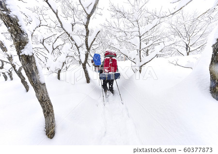 白雪皚皚的江原道冬季景觀 白雪皚皚的江原道冬季景觀 60377873