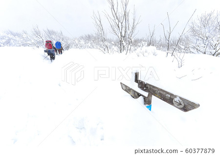 白雪皚皚的江原道冬季景觀 60377879