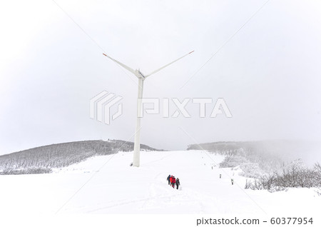 Korean winter landscape with snow Korean winter landscape with snow 60377954