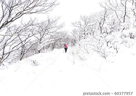 Korean winter landscape with snow Korean winter landscape with snow 60377957