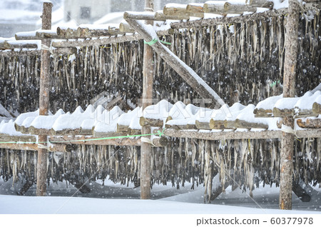 韓國冬季風景與雪 韓國冬季風景與雪 60377978