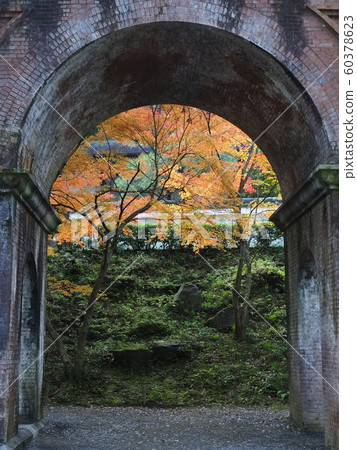 Nanzenji Suidokaku的秋葉 60378623