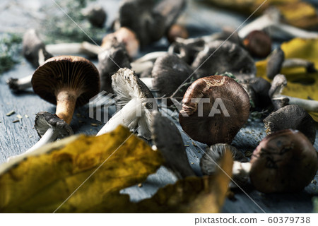 spanish edible mushrooms on a table 60379738