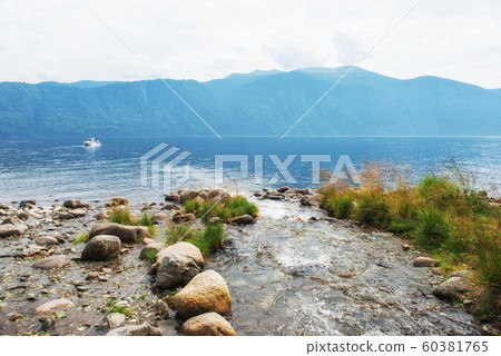 Teletskoye lake in Altai mountains 60381765