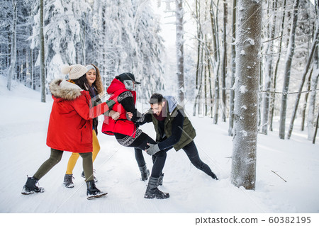 A group of young friends on a walk outdoors in snow in winter forest. A group of young friends on a walk outdoors in snow in winter forest. 60382195