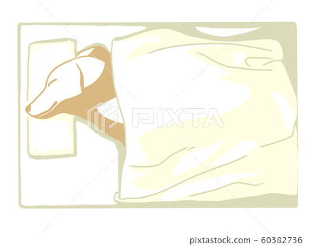 寵物 60382736