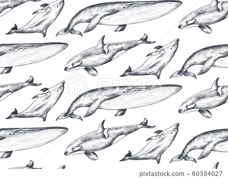 Vector monochrome seamless pattern with ocean... - Stock Illustration ...