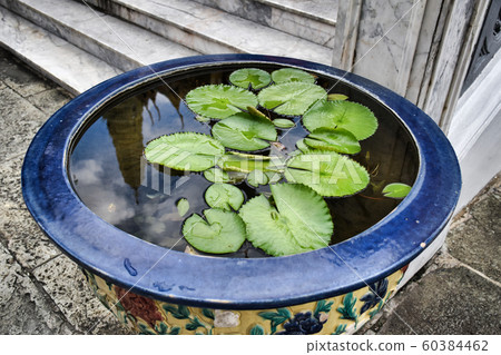 Bangkok, Thailand 11.24.2019: Lily pads in water in a decorated, traditional Thai pod with the reflection of one prang (tower) of the Temple of the Emerald Buddha (Wat Phra Kaew) at the Grand Palace Bangkok, Thailand 11.24.2019: Lily pads in water in a decorated, traditional Thai pod with the reflection of one prang (tower) of the Temple of the Emerald Buddha (Wat Phra Kaew) at the Grand Palace 60384462