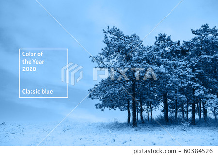 Beautiful winter landscape. 60384526