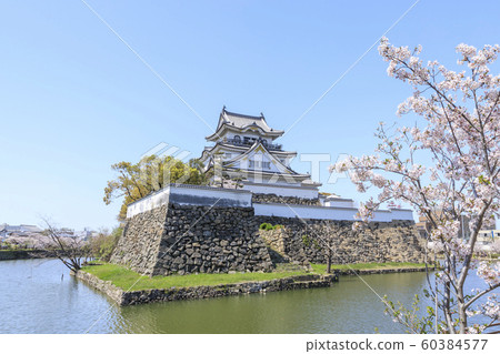 Osaka / Kishiwada Castle / Spring / Blossoming cherry trees Osaka / Kishiwada Castle / Spring / Blossoming cherry trees 60384577