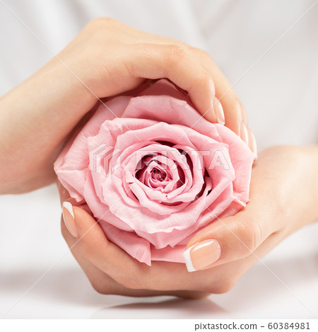 Woman gets manicure procedure in a spa salon. Woman gets manicure procedure in a spa salon. 60384981