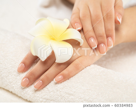 Woman gets manicure procedure in a spa salon. Woman gets manicure procedure in a spa salon. 60384983