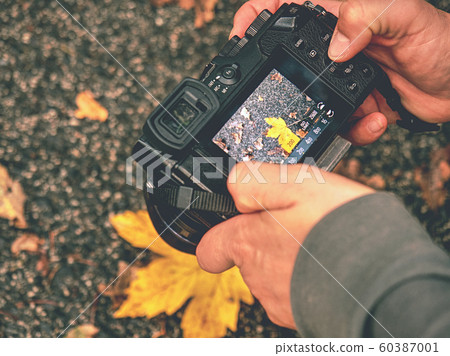 Hands of artist working with modern camera. Artist 60387001