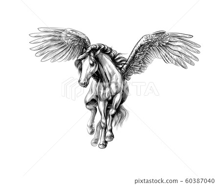 Flying Horse Images  Free Download on Freepik