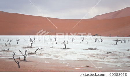 Sossusvlei, Namibia Sossusvlei, Namibia 60388058