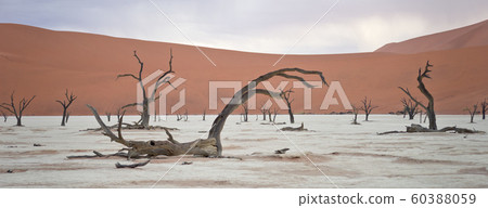 Sossusvlei, Namibia 60388059