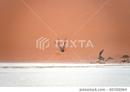 Sossusvlei, Namibia 60388064