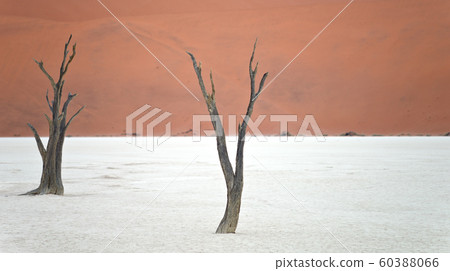 Sossusvlei, Namibia Sossusvlei, Namibia 60388066