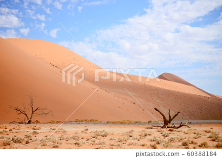 sand dunes sand dunes 60388184