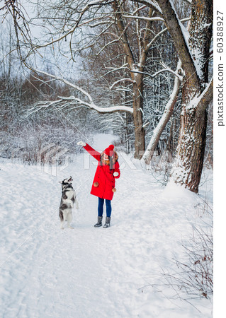 Young woman playing with her Husky dog in winter park 60388927