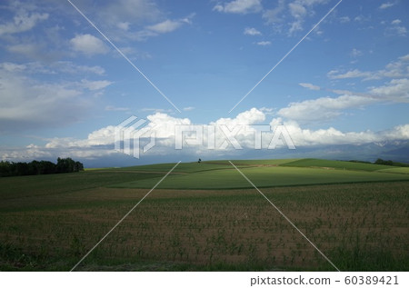 山風光_北海道 山風光_北海道 60389421