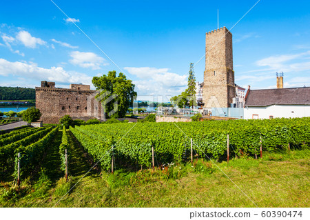 Rudesheim am Rhein Vineyards, Germany 60390474
