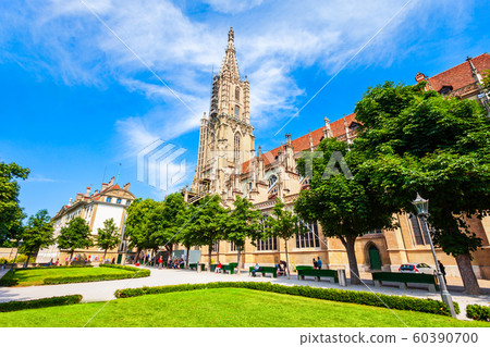 Bern Minster or Munster cathedral Bern Minster or Munster cathedral 60390700