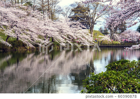 Takada Park 1 where cherry blossoms bloom Takada Park 1 where cherry blossoms bloom 60390878