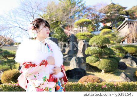 Japanese woman in adult kimono shooting and sunny appearance Japanese woman in adult kimono shooting and sunny appearance 60391543