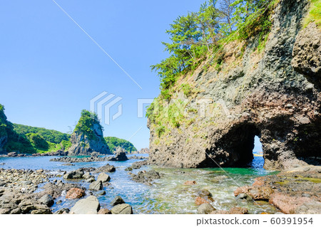 廈門金剛諾托 60391954