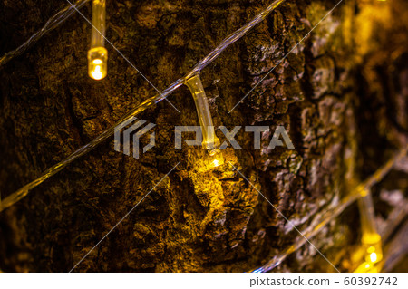 cable of string led lights used for decorating  cable of string led lights used for decorating  60392742