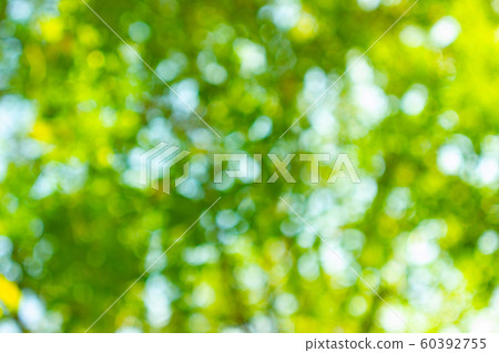 abstract blur of nature with the bokeh of light 60392755