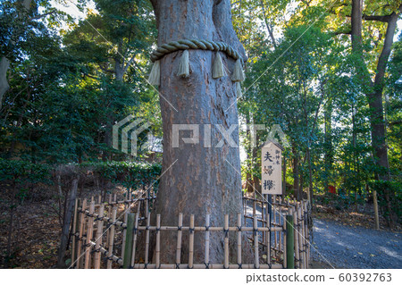 Naganomiya Hikawa Shrine Married Couple (Fujimino City, Saitama Prefecture) 60392763
