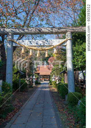 Nagamiya Hikawa Shrine (Fujimino City, Saitama Prefecture) 60393012