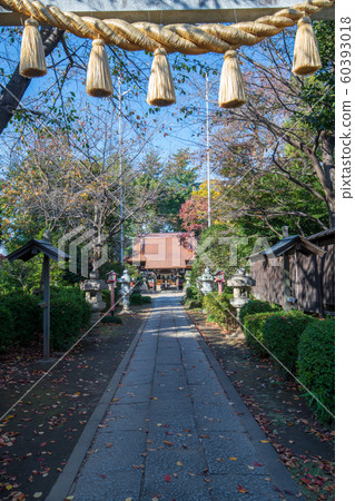 Nagamiya Hikawa Shrine (Fujimino City, Saitama Prefecture) 60393018