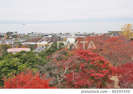 View from Hikone Castle Tenshu View from Hikone Castle Tenshu 60393349