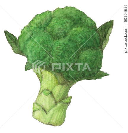 西蘭花蔬菜手繪水彩 60394655
