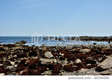 磯崎海岸 60394980